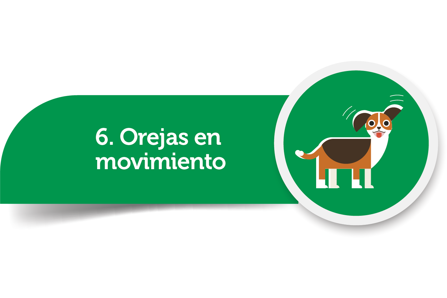 Imagen6.png